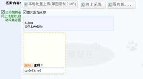 圖片系統上傳圖片錯誤 領先建站cms提供服務商 我們專注于cms建站產品的研發